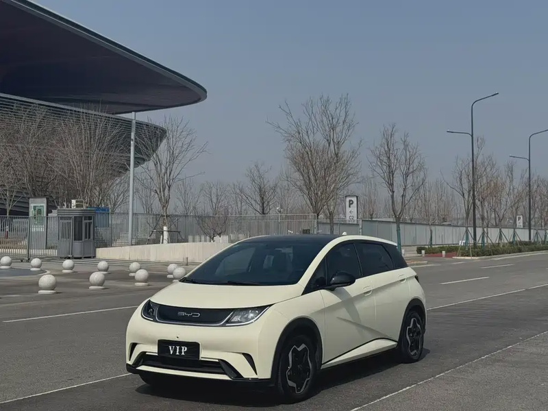 BYD Dolphin