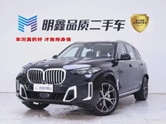 BMW X5 2025