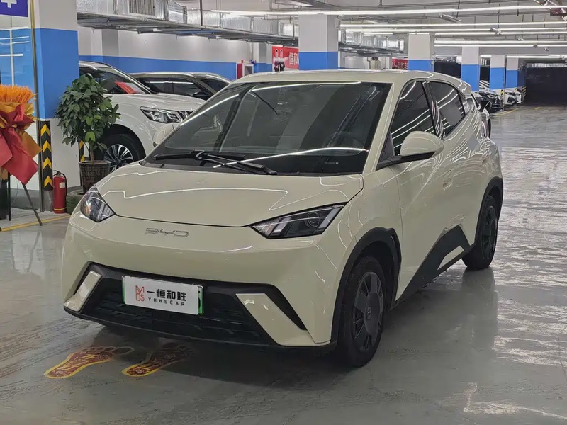 BYD Seagull