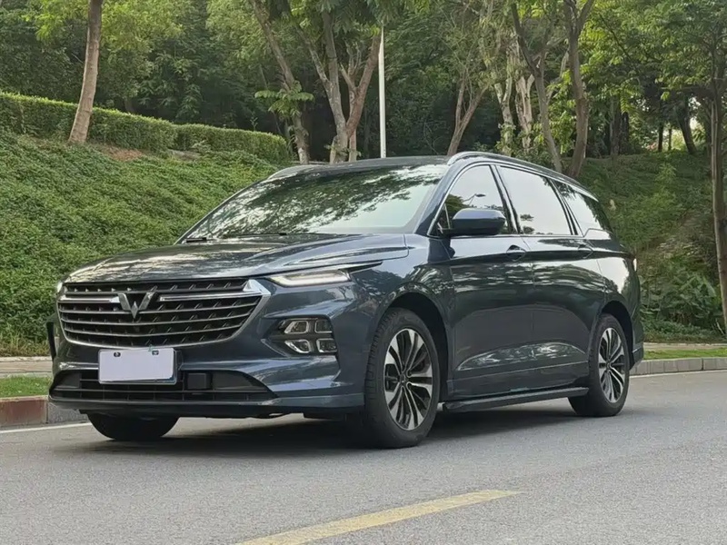 Wuling Victory