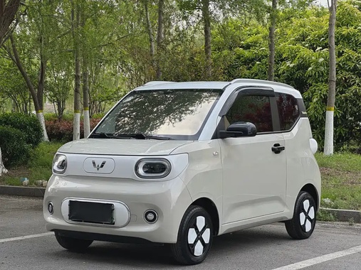 Wuling Mini 2024