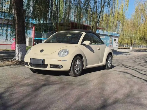 Volkswagen Beetle 2010