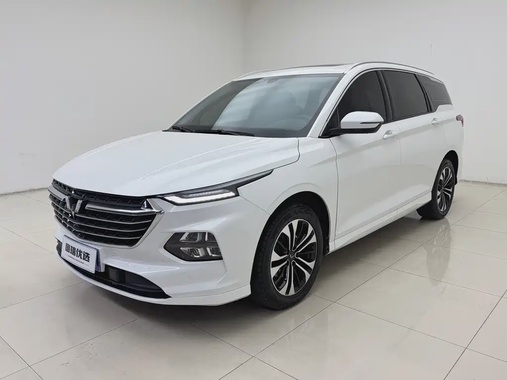 Wuling Victory 2022