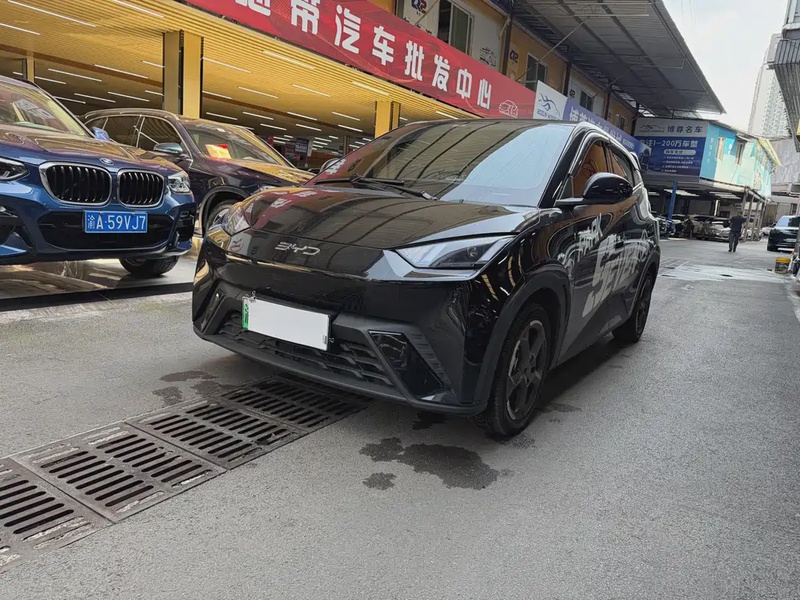 BYD Seagull