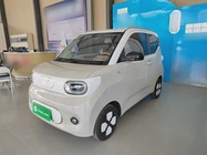 Wuling Mini 2024