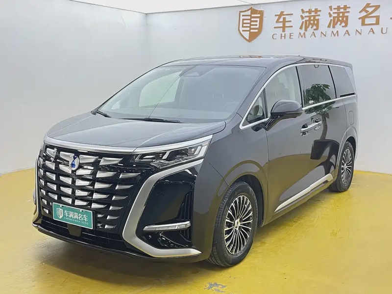 Denza D9