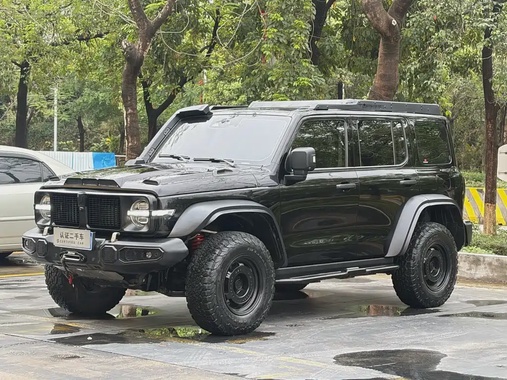 Tank 300 2024