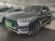 BYD PLUS 2021