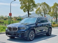 BMW X5 2021