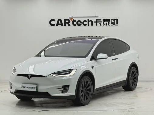Tesla Model X 2019