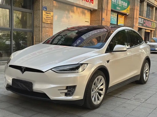 Tesla Model X 2019