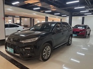 Toyota Wildlander 2021