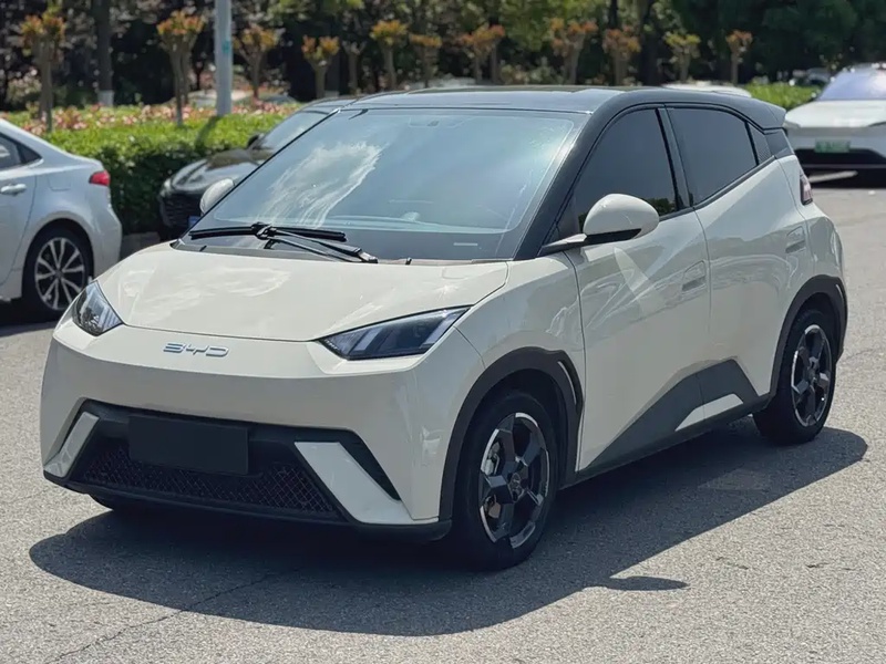 BYD Seagull