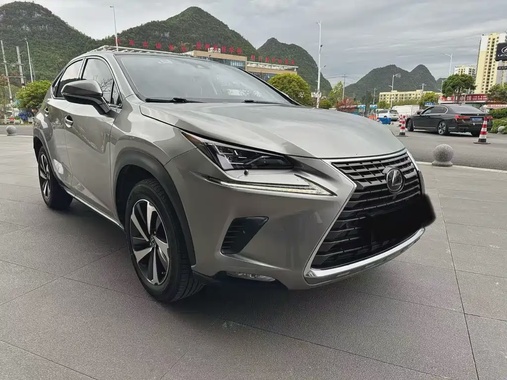 Lexus NX 2020
