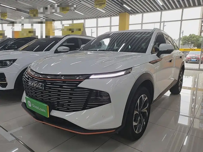Haval Shenshou
