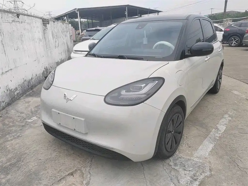 Wuling Bingo