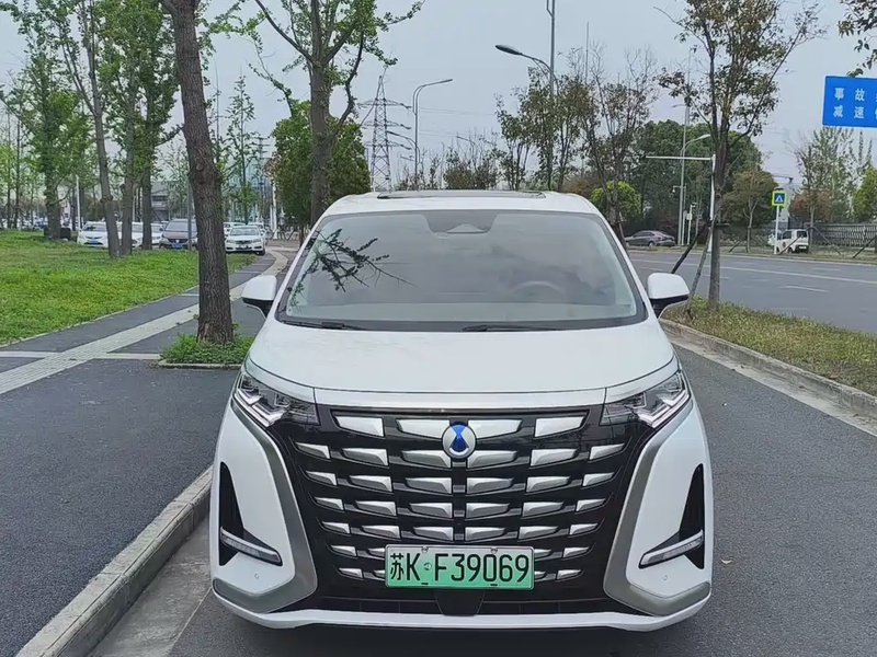 Denza D9
