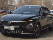 Wuling Xingguang 2024