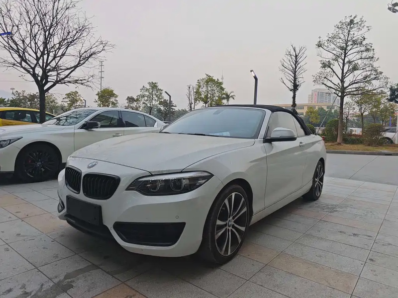 BMW 2 Series