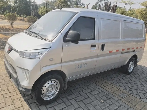 Wuling EV50 2022