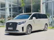 Buick GL8 2023