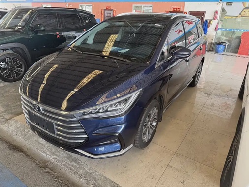 BYD MAX 2021