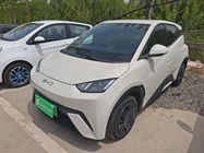 BYD Seagull 2024
