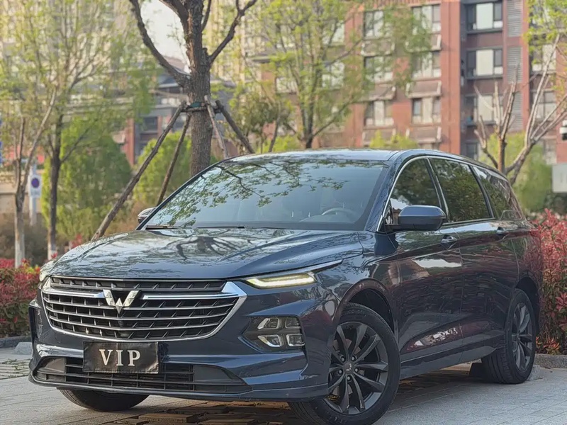 Wuling Victory
