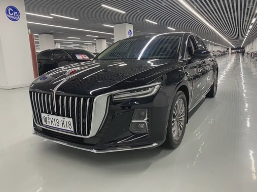 Hongqi H5 2024
