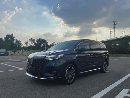 Roewe iMAX8 2021