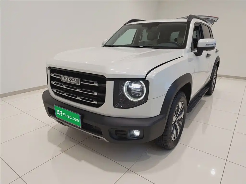 Haval Big Dog