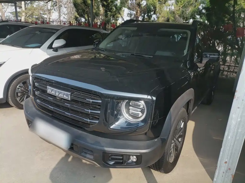 Haval Big Dog