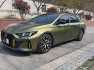 GAC Shadow Leopard 2021