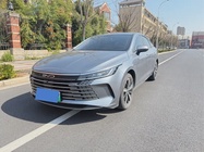 BYD Destroyer 2022