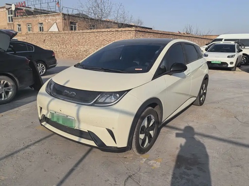 BYD Dolphin 2024