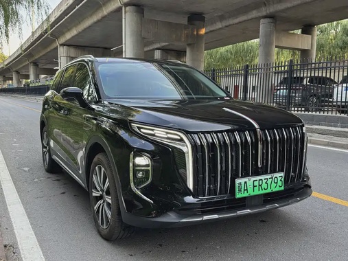 Hongqi HS7