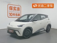 BYD Seagull 2025