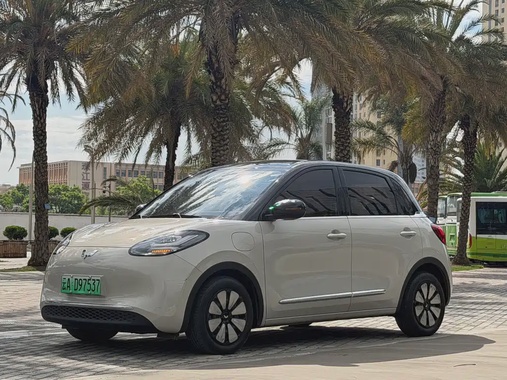 Wuling Bingo 2023