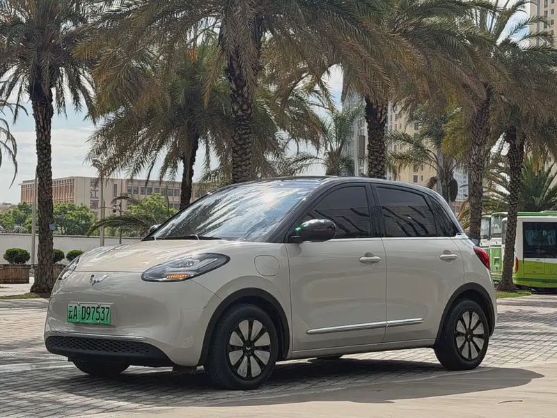 Wuling Bingo
