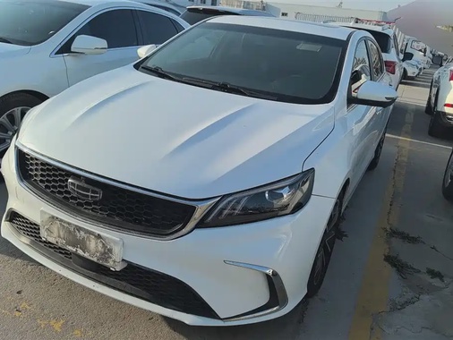 Geely Binrui 2022