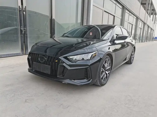 GAC Shadow Leopard 2021