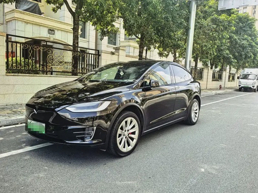 Tesla Model X 2019
