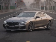 BMW 8 Series 2020
