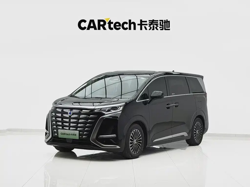 Denza D9