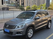 Volkswagen Tiguan 2010