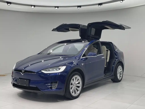 Tesla Model X 2020