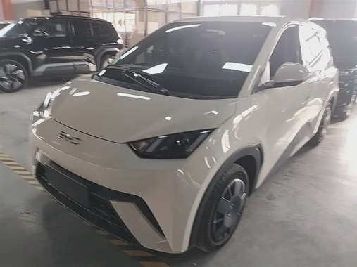 BYD Seagull 2024