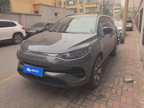 Denza X 2020