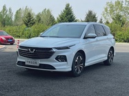 Wuling Victory 2021