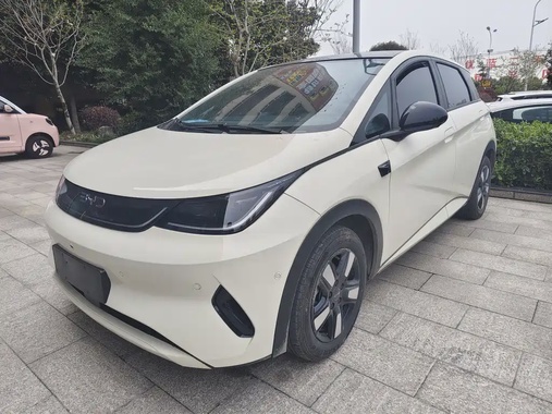 BYD Dolphin 2025